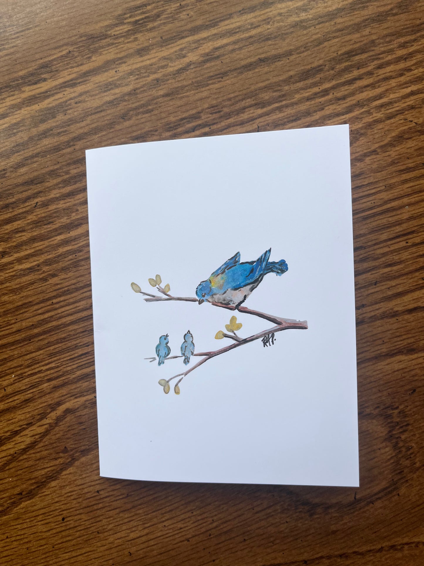 NEW - Watercolor Birds Set of 4