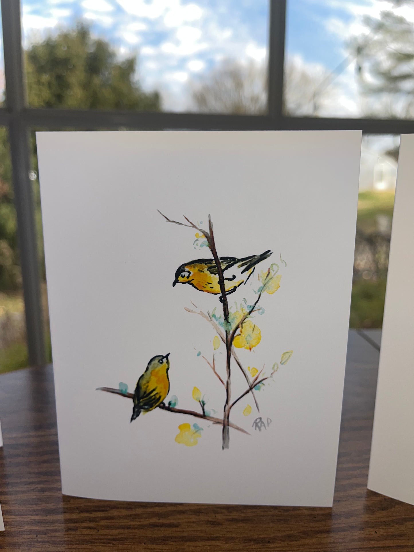NEW - Watercolor Birds Set of 4