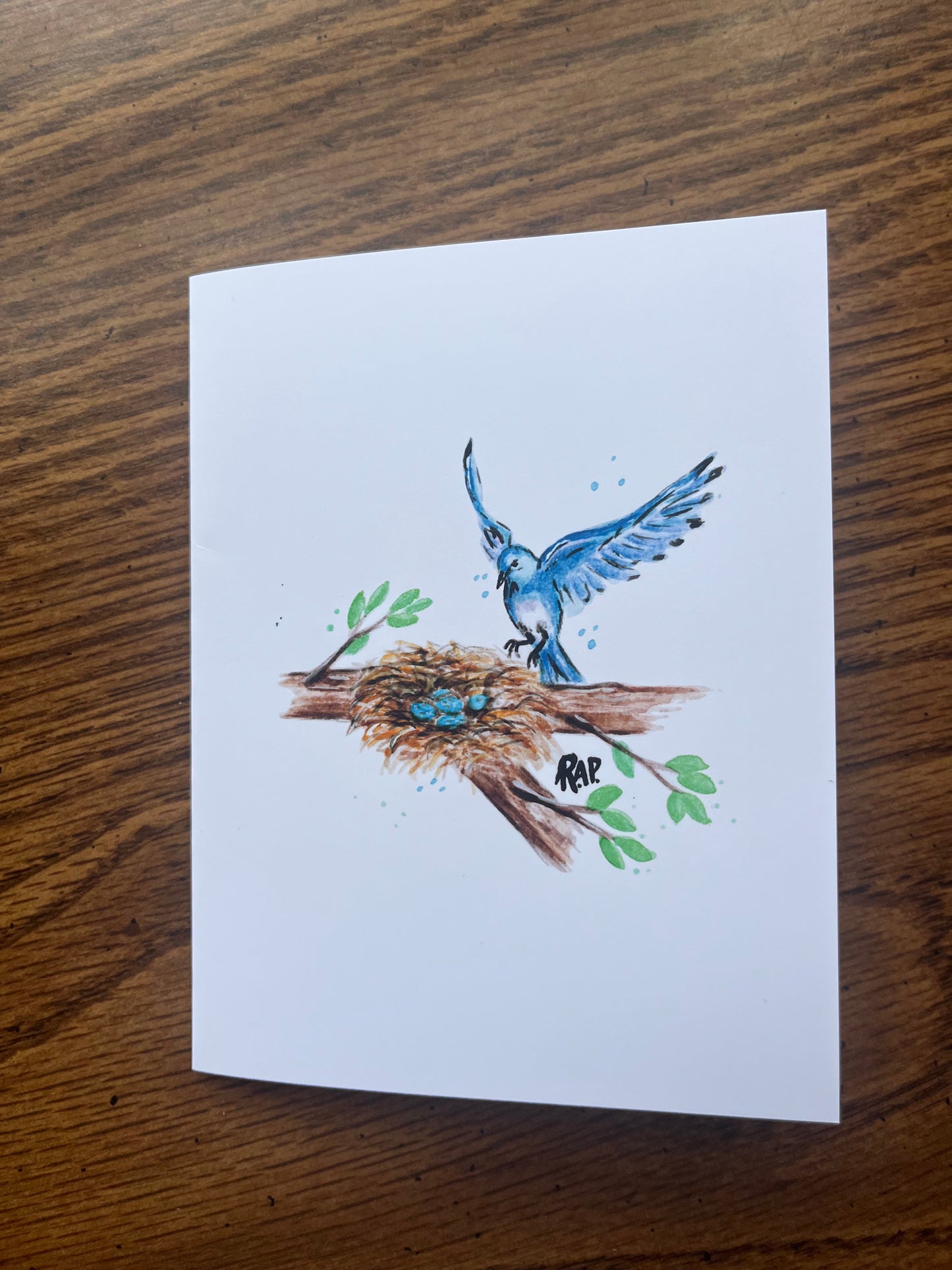 NEW - Watercolor Birds Set of 4