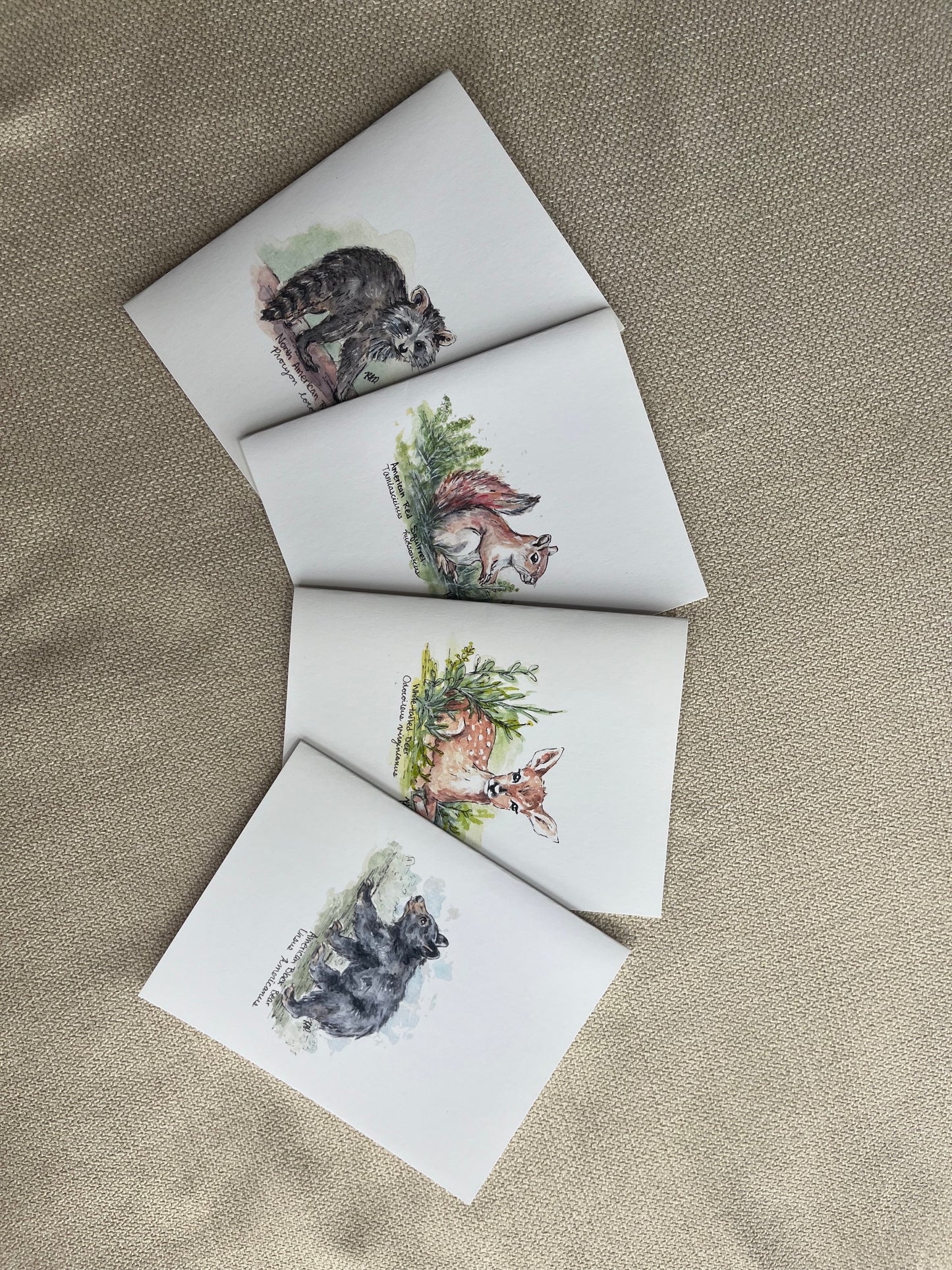 Woodland Animals Greeting Cards - Set of Four