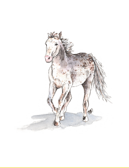 Farm Animals Greeting Cards - Set of 4