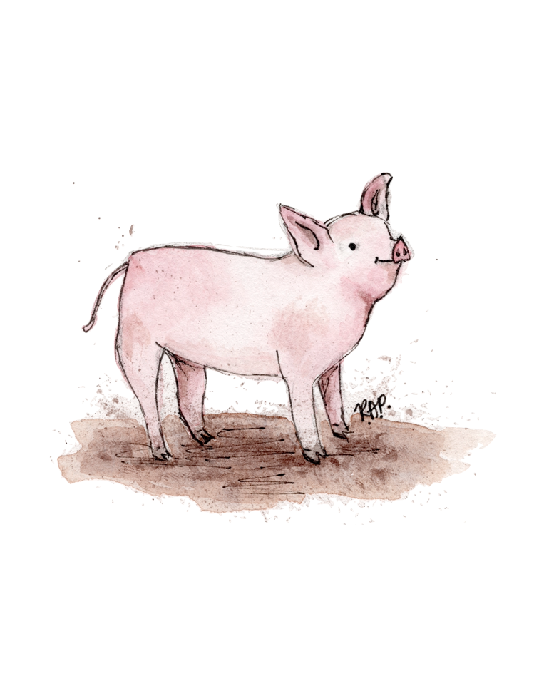 Farm Animals Greeting Cards - Set of 4