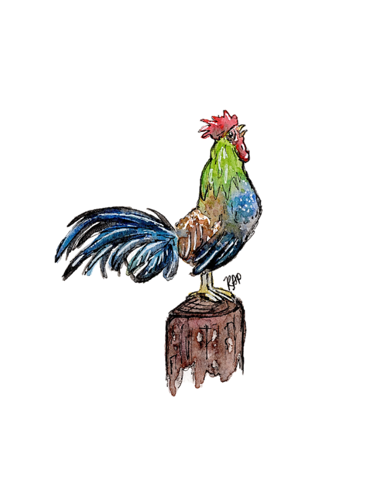Rooster and Hen Greeting Cards - Set of 4