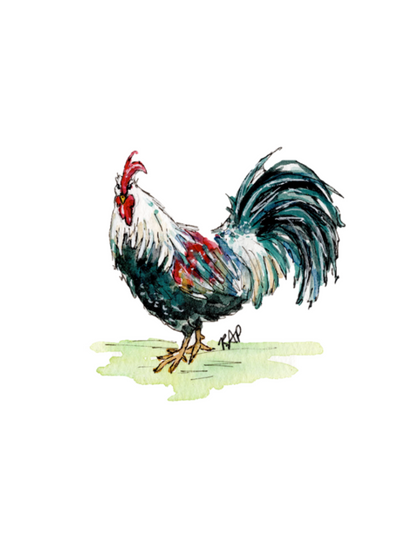 Rooster and Hen Greeting Cards - Set of 4